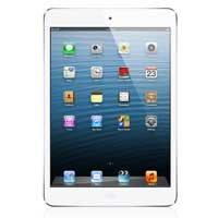 Apple iPad Mini 4 7.9" (2015 4th Gen) Accessories